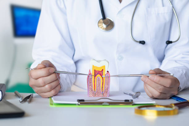 Best Emergency Orthodontic Repairs in Mcleansboro, IL
